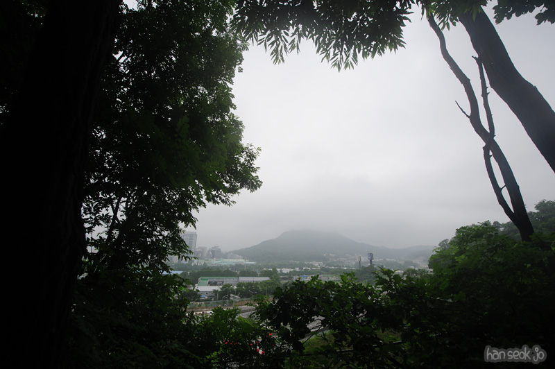 HSJ_0631.jpg
