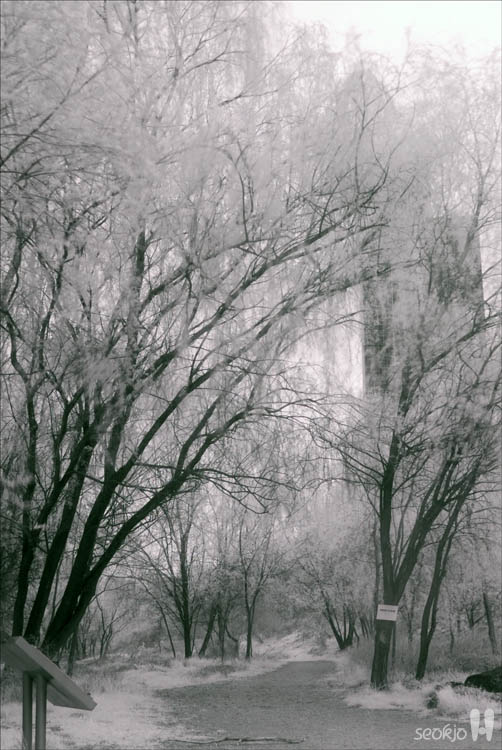 DSCF7622.jpg
