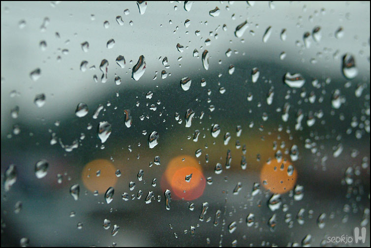 DSCF1521.jpg
