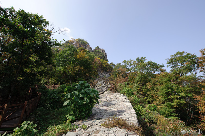 HSJ_1275.jpg