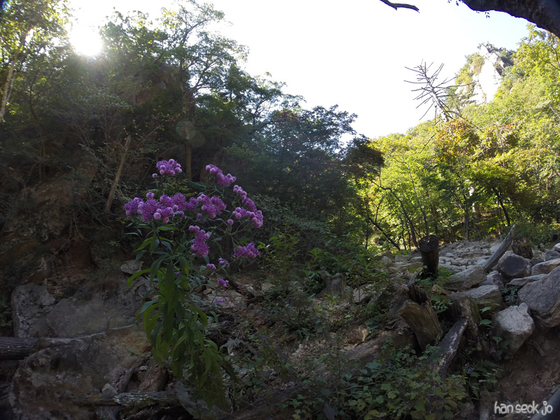 GOPR4121.jpg