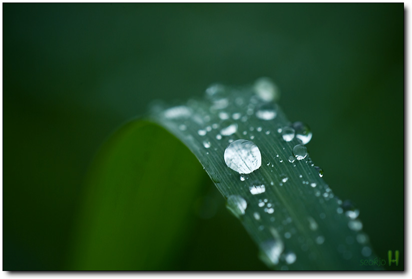 DSCF8438.jpg