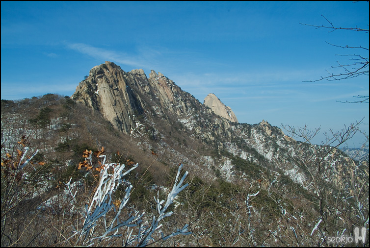 DSCF1576.jpg