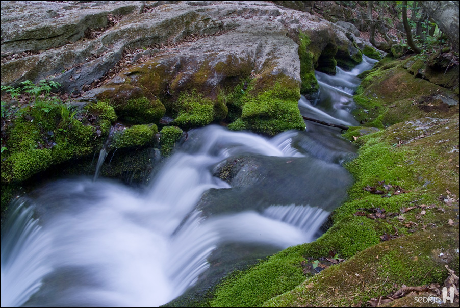 DSCF8495.jpg