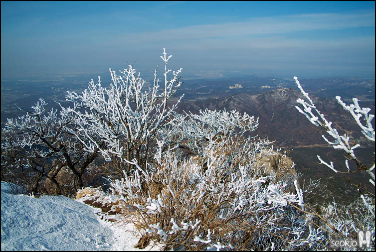 DSCF1551.jpg