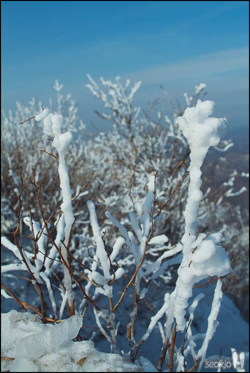DSCF1555.jpg