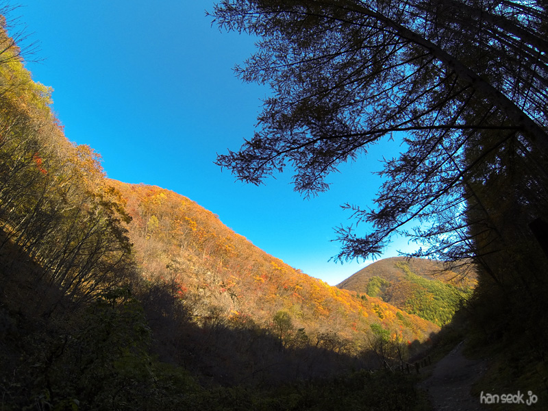 GOPR0519.jpg