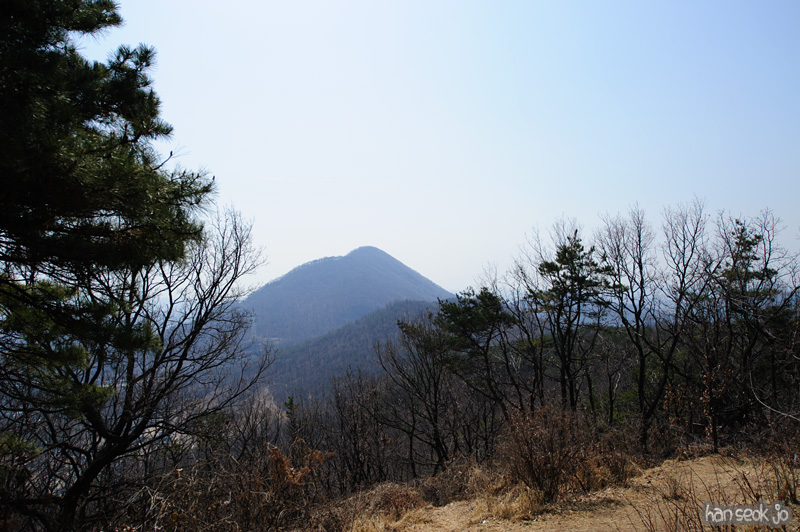 HSJ_8539.jpg