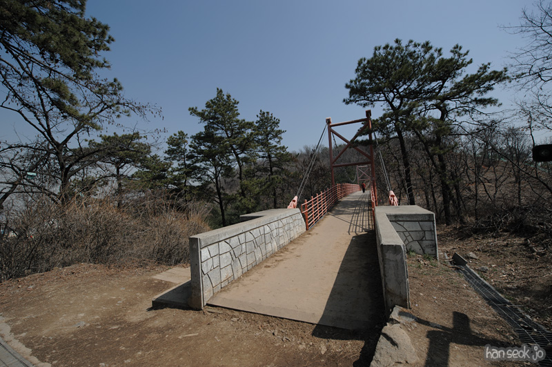 HSJ_8536.jpg