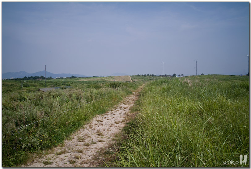 DSCF1117.jpg
