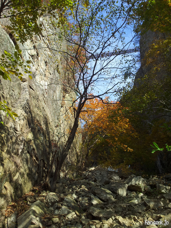 20121026b.jpg