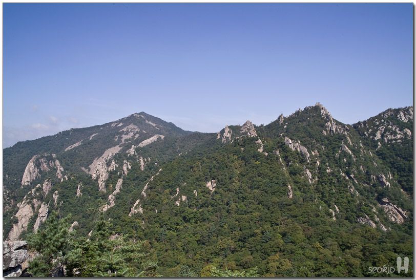 DSCF1132.jpg