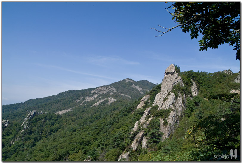 DSCF1137.jpg