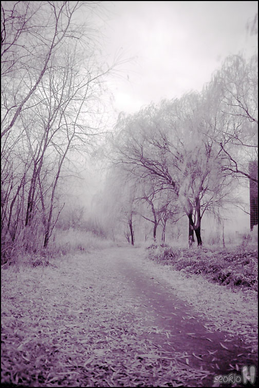 DSCF1156.jpg