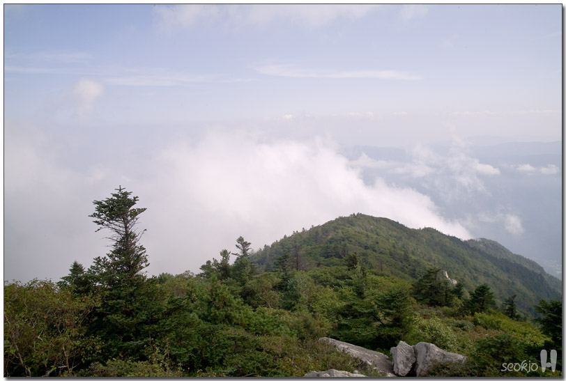 DSCF1158.jpg