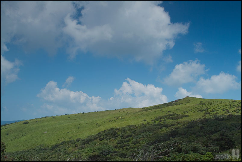 DSCF8529.jpg