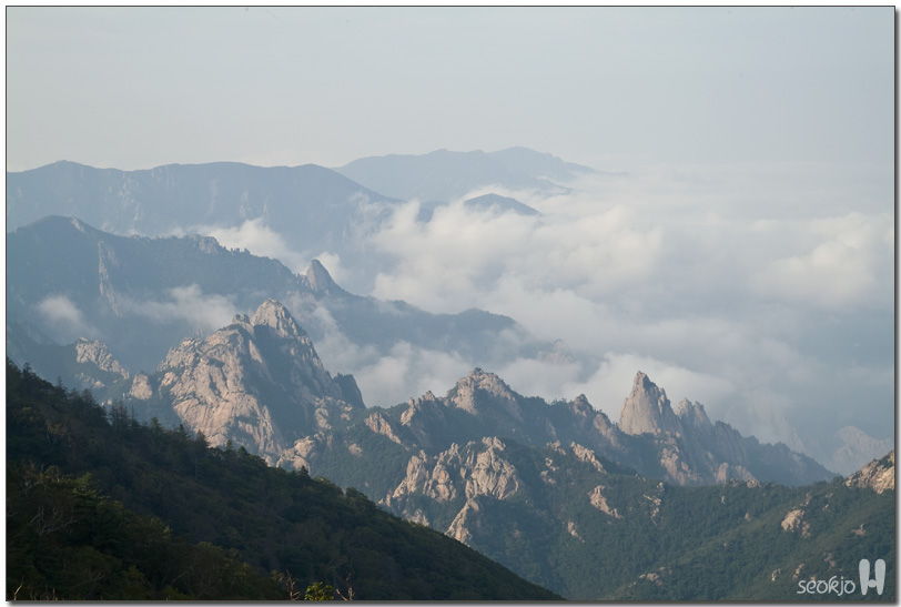 DSCF1190.jpg