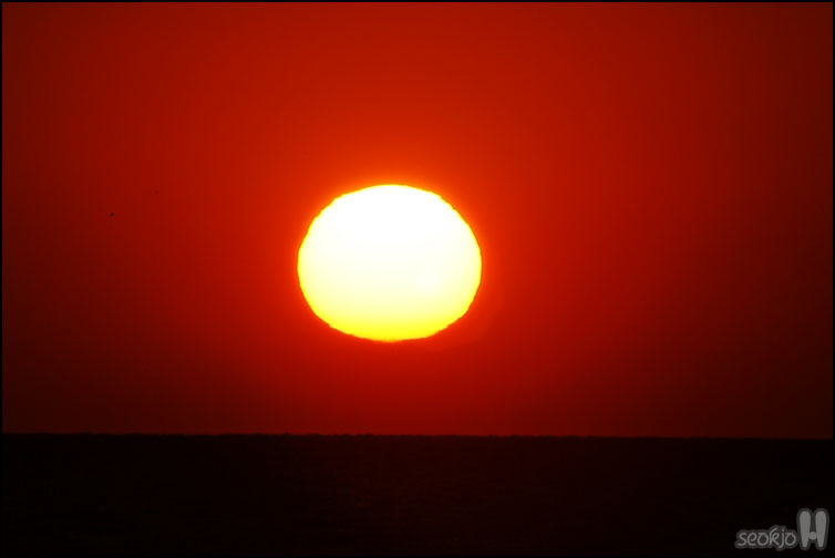 DSCF1665.jpg