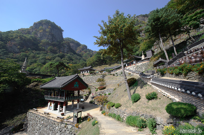 HSJ_1315.jpg