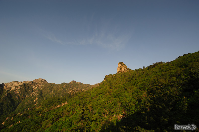 HSJ_9815.jpg