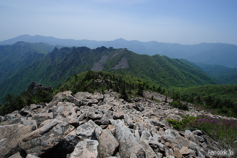 HSJ_9883.jpg