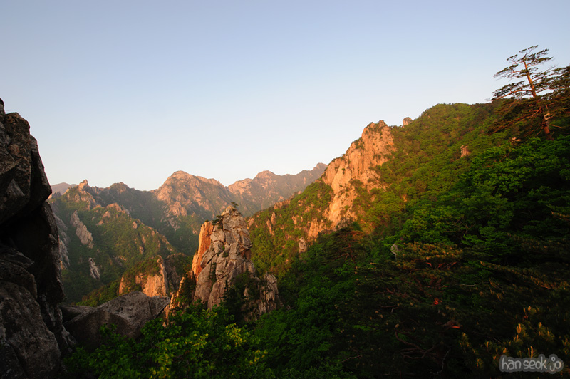 HSJ_9807.jpg