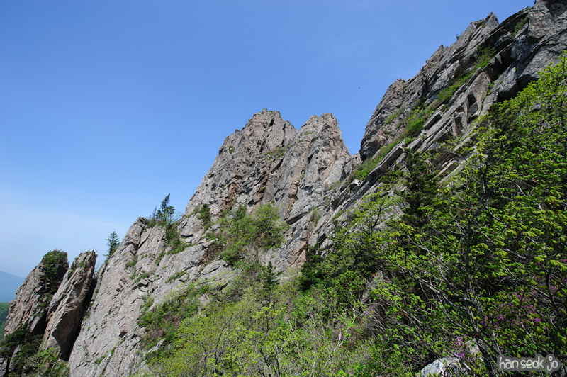HSJ_9858.jpg