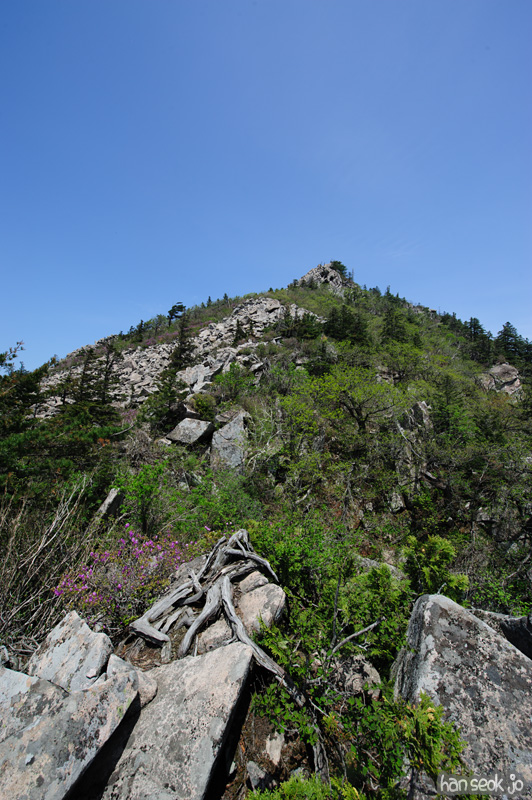 HSJ_9882.jpg