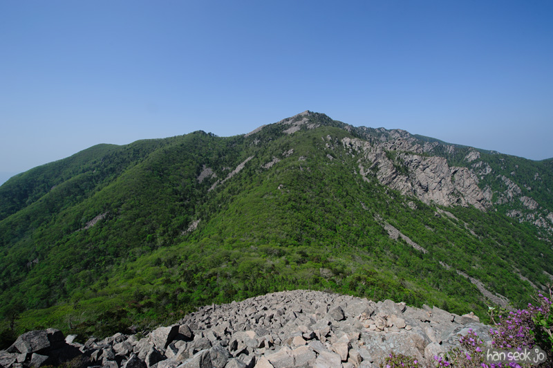 HSJ_9890.jpg