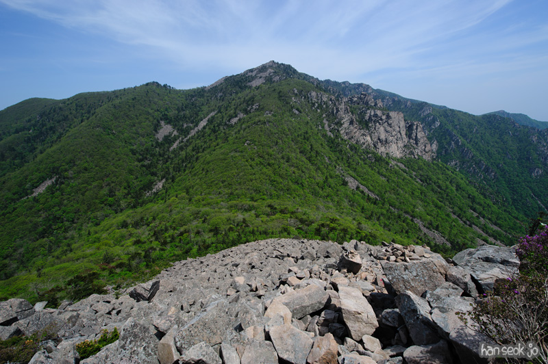 HSJ_9877.jpg