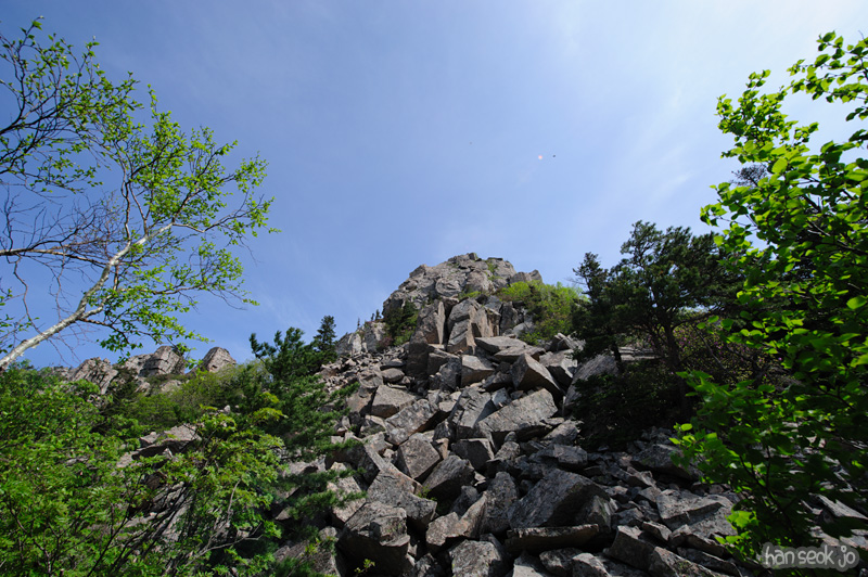 HSJ_9845.jpg