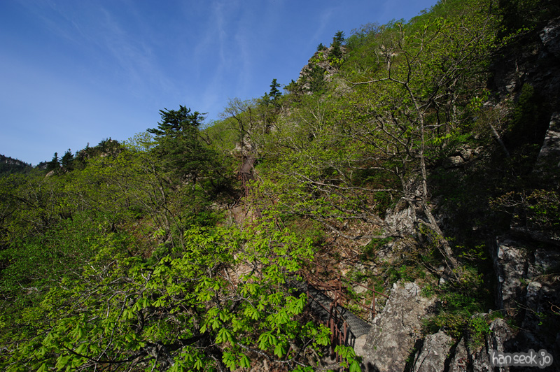 HSJ_9828.jpg