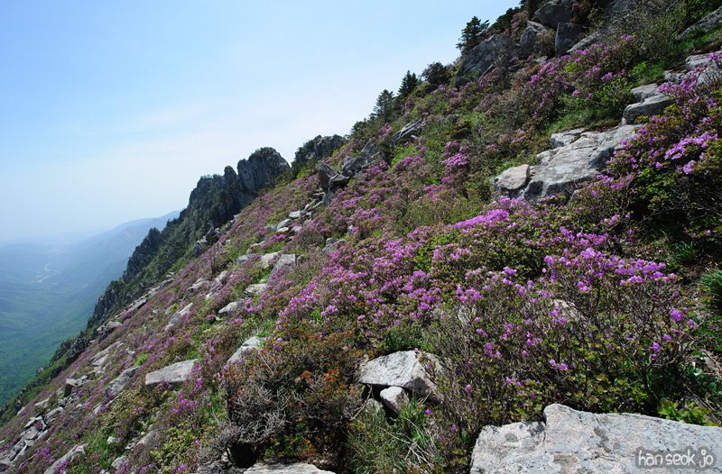 HSJ_9874.jpg