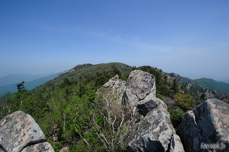 HSJ_9884.jpg