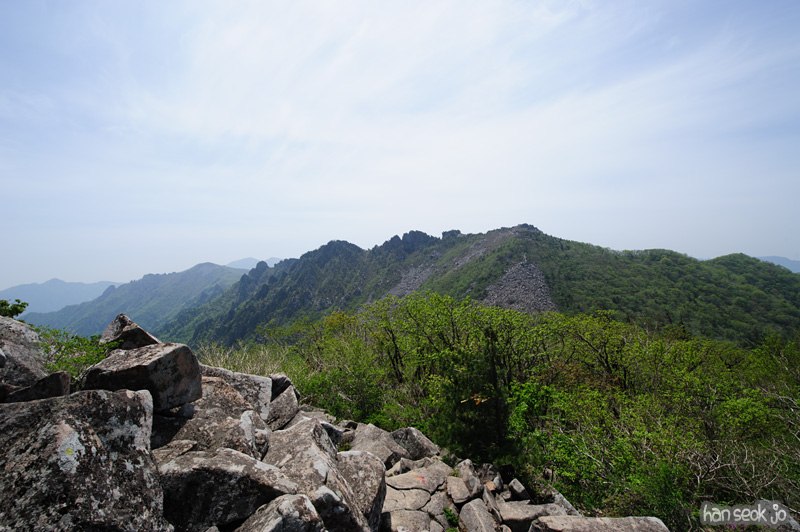 HSJ_9878.jpg