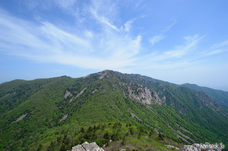 HSJ_9870.jpg