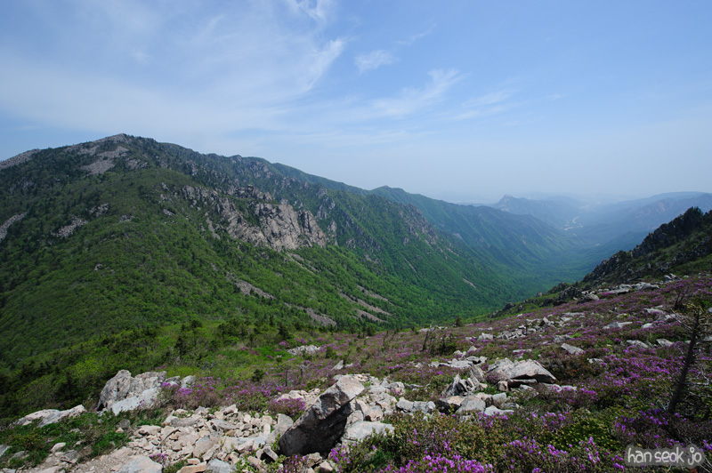 HSJ_9876.jpg