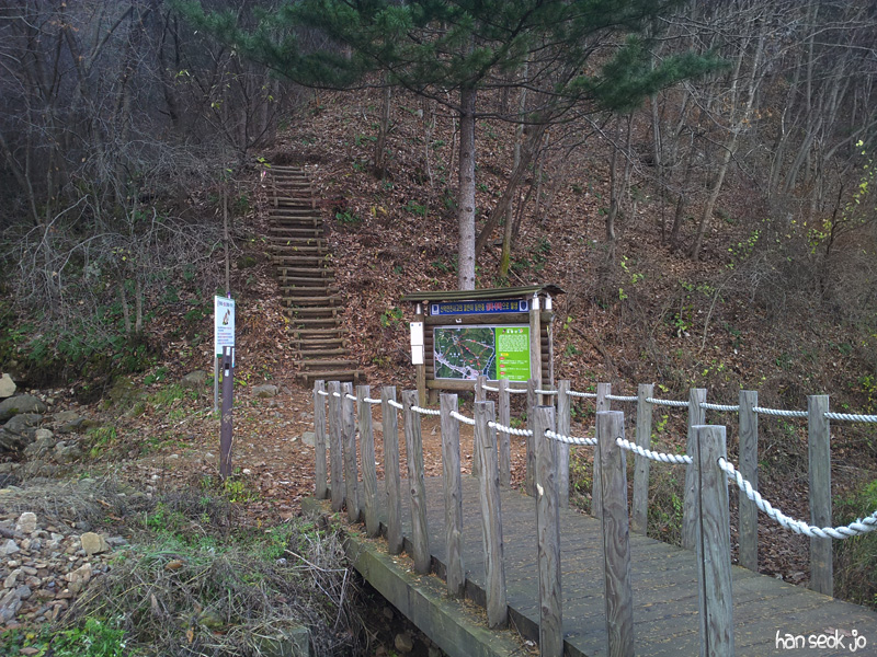 20121113e.jpg