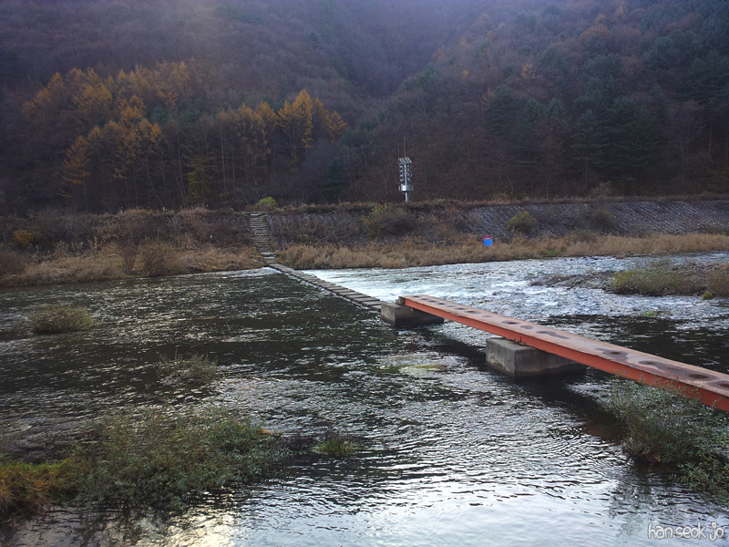 20121113f.jpg