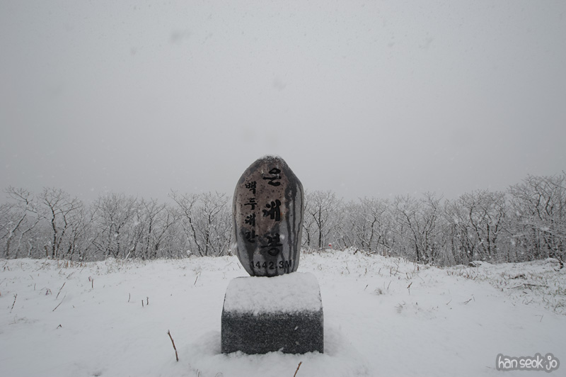 HSJ_9253.jpg