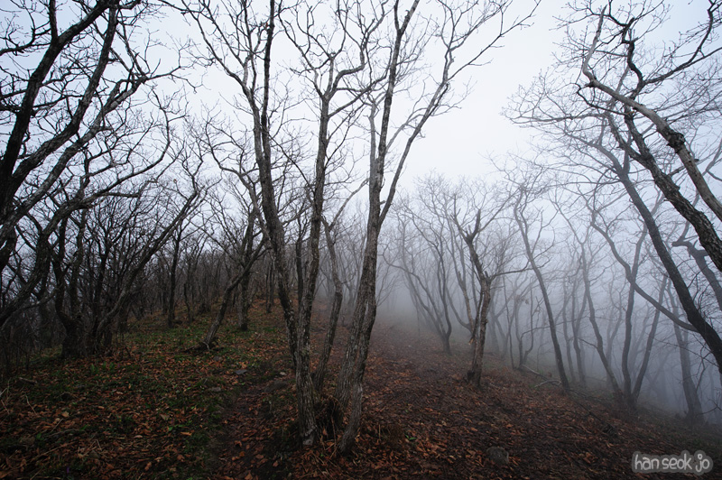 HSJ_9228.jpg