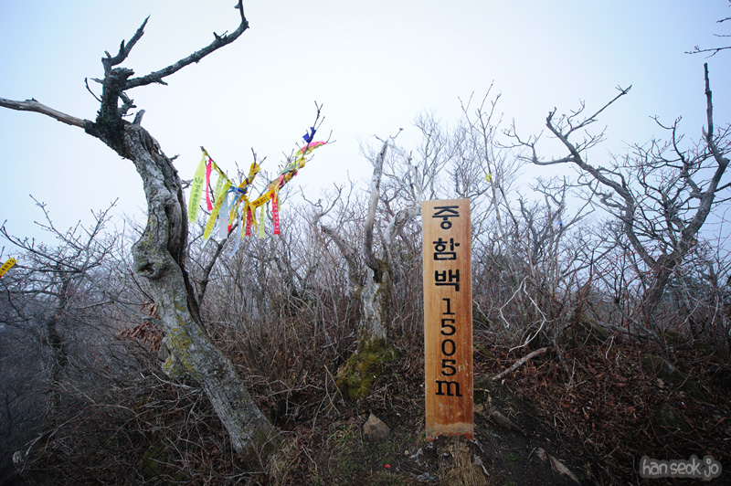 HSJ_9213.jpg
