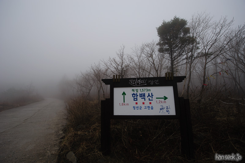 HSJ_9204.jpg