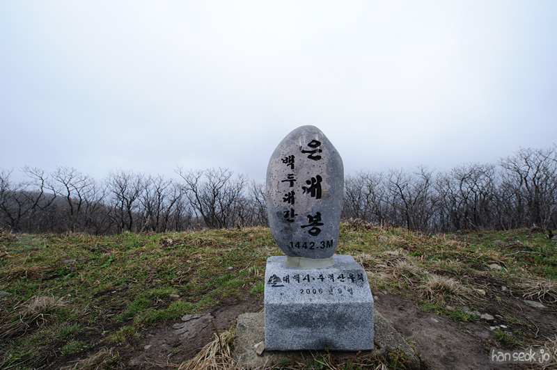 HSJ_9234.jpg
