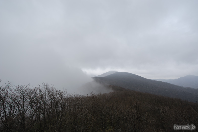 HSJ_9227.jpg