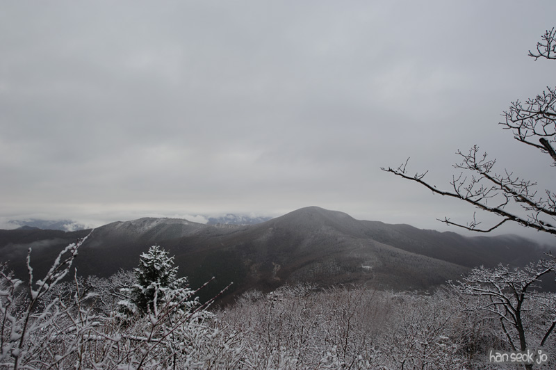 HSJ_9267.jpg