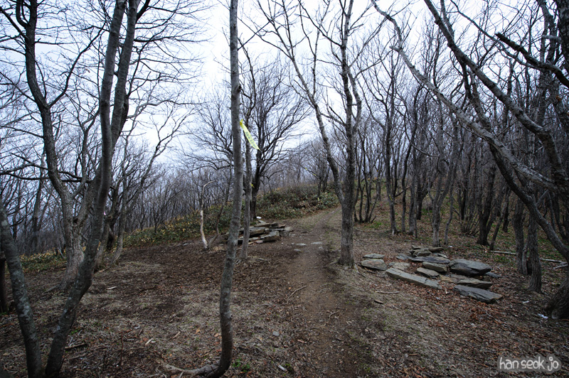 HSJ_9224.jpg