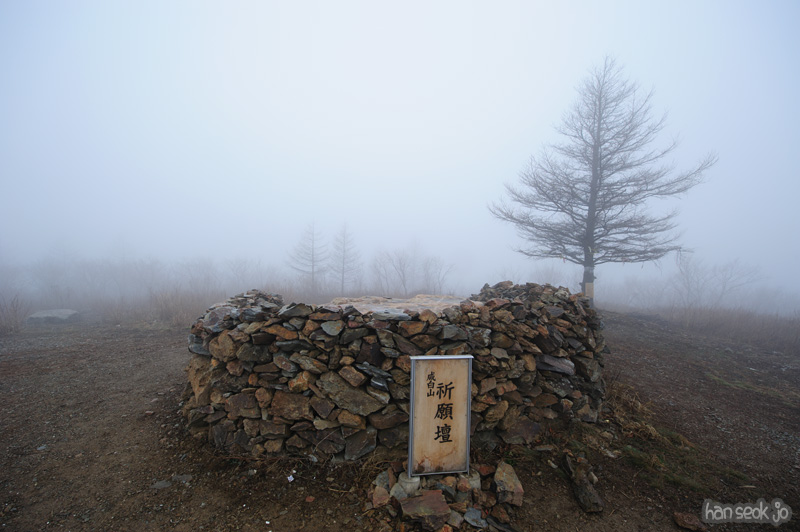 HSJ_9202.jpg