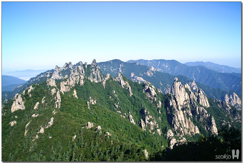 DSCF1239.jpg