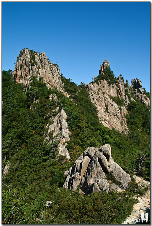 DSCF1272.jpg